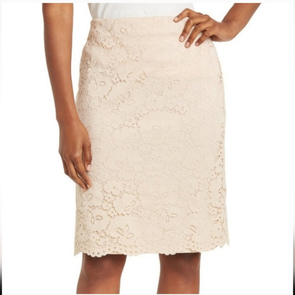 Adrianna Papell Blush Pink Lace Knee length skirt